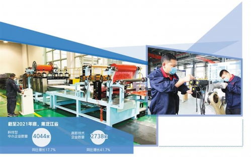 續(xù)寫春天的故事 黑龍江多措并舉營造良好環(huán)境