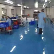 蝸蝸工廠 公司產品的強大，工廠必然是核心