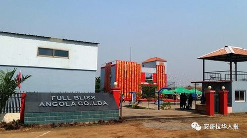 綠色發(fā)展新引擎 中國企業(yè)投資的廢品回收與塑料制品一體化工廠盛大開業(yè)